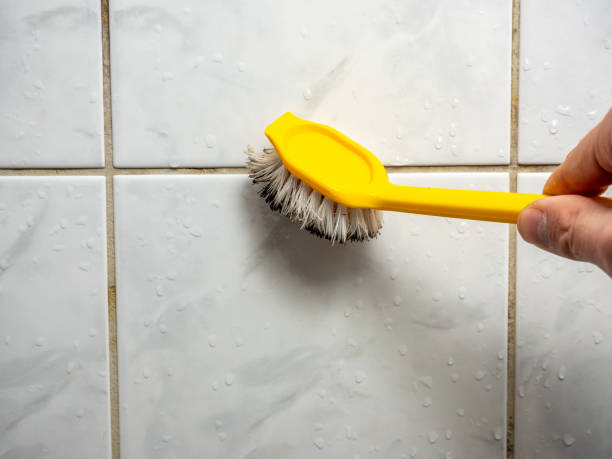 Best Mold Testing  in Fort Valley, GA