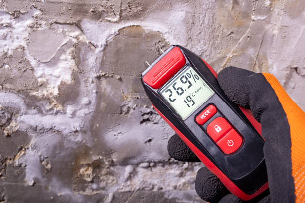 Best Office Mold Removal Services  in Fort Valley, GA