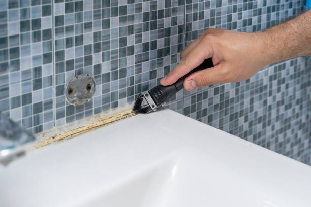 Best Toxic Mold Removal  in Fort Valley, GA